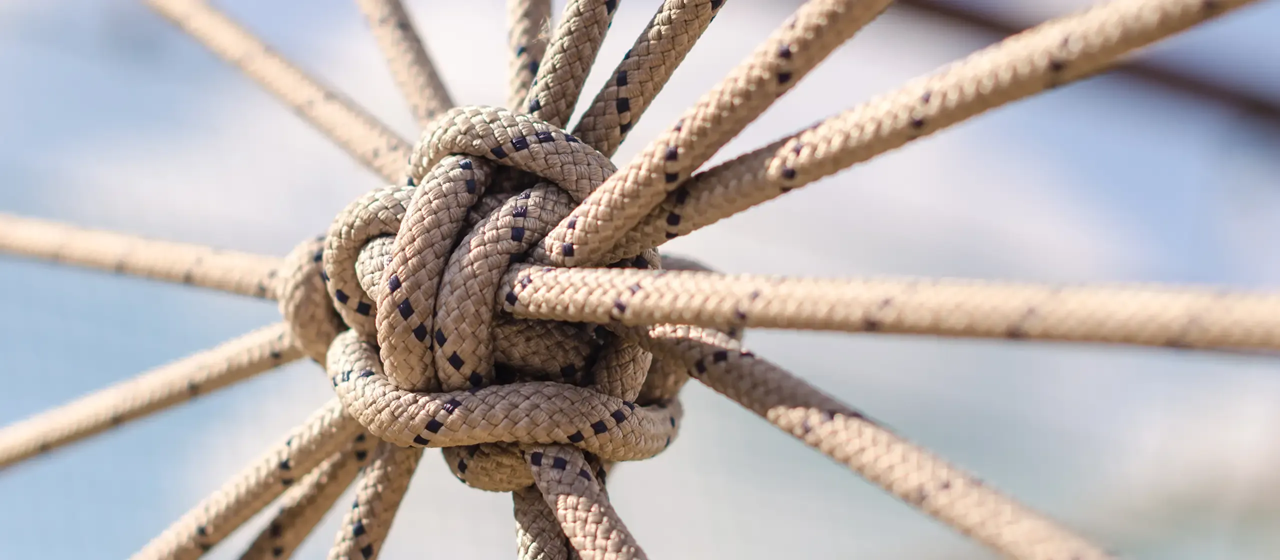 Teamentwicklung Berlin